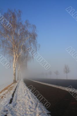 snow field in fog