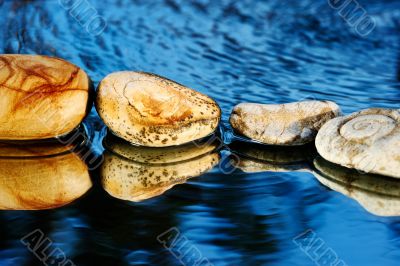 Sea stones on dark blue