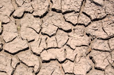Drought Drought