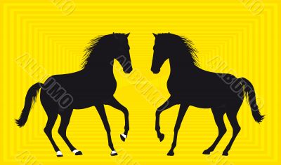 Silhouette of two horses