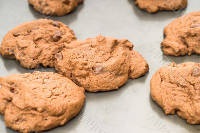 Chocolate Chip Cookies