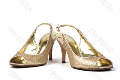 Gold  Women`s High-Heel Shoes