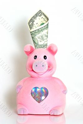 box as a pig with one dollar