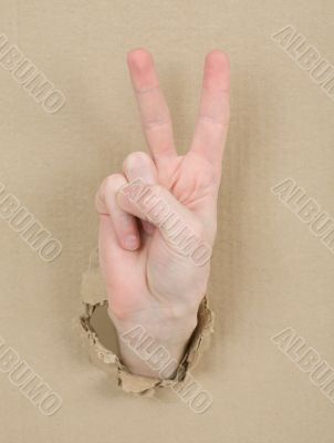 Gesture male hand through cardboard