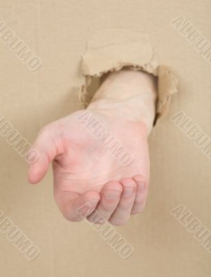 Male hand through in cardboard