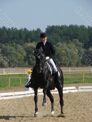 equestrian woman on black stallion horse equestrian woman on black stallion horse