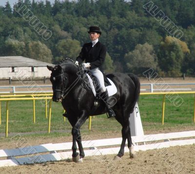 equestrian woman on black stallion horse equestrian woman on black stallion horse