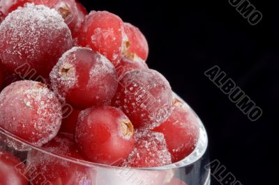 The frozen cranberry. The frozen cranberry.