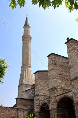 aya sofia