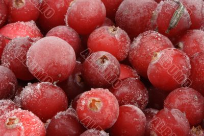 Frozen cranberry.