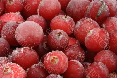 Frozen cranberry. Frozen cranberry.