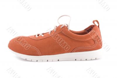 sport shoes on white background