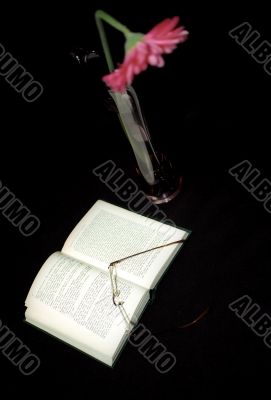 Open book and gerbera in vase Open book and gerbera in vase