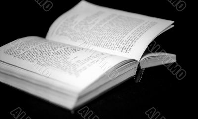 Pages of open book monochrome