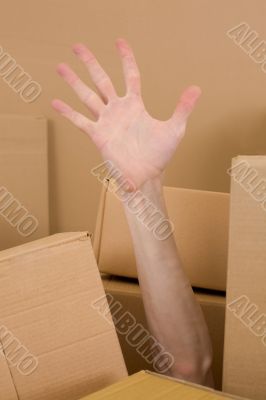 Hand in pile box