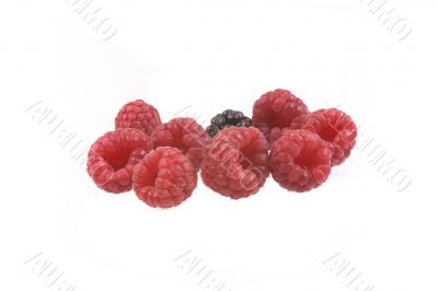 raspberry raspberry