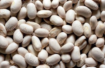 Dried kidney bean closeup background