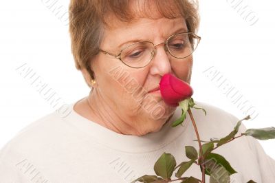 Attractive Senior Woman with Red Rose
