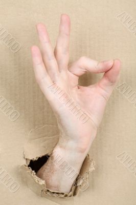 Gesture male hand through cardboard