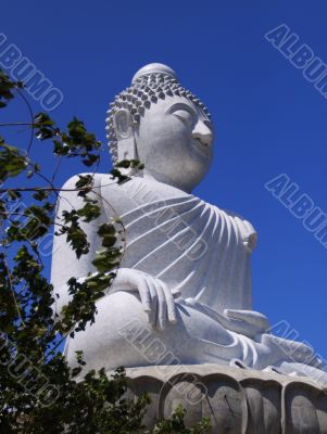 Buddha Blue