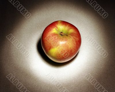 A single apple in the light circle A single apple in the light circle