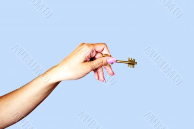 feminine hand