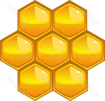 Honeycomb