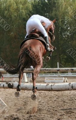 equestrian jumping over barrier