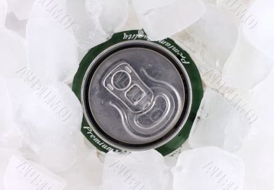 Can of beer in ice