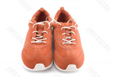 shoes on white background