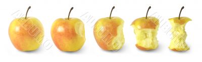 timeline of eating an apple / with clipping paths