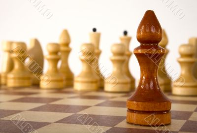 Chess bishop