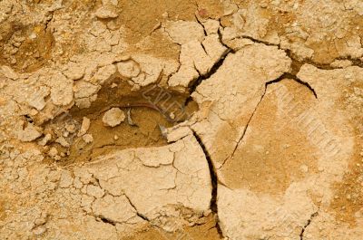 Footprint on mud