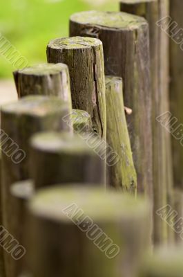 Line of wooden beams