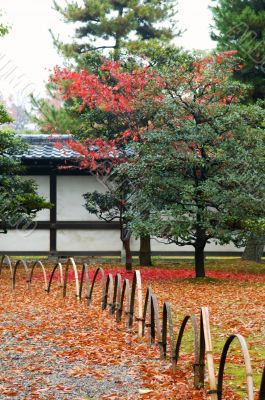 Japanese garden