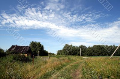 A country way through the meadow