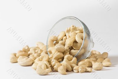 cashew nuts