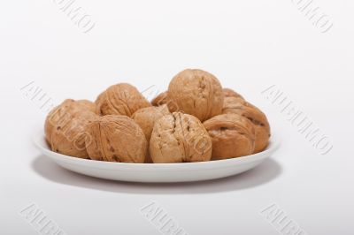 walnut