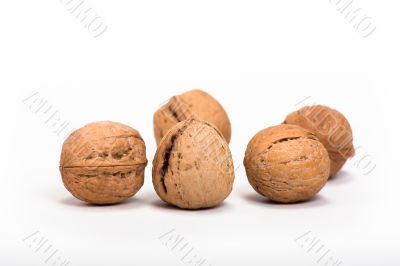 walnut