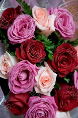 Bunch of roses