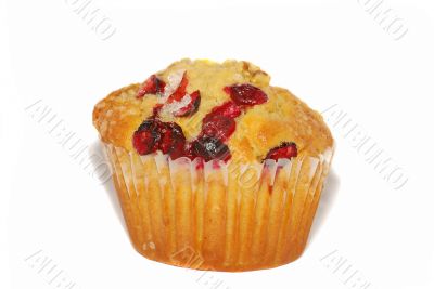 Cranberry muffin.