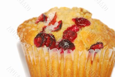 Cranberry muffin close-up