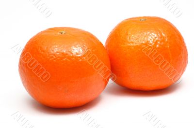 A lot of orange fruits