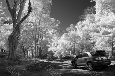 Offroad in the Wild