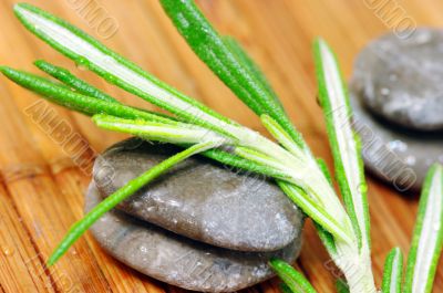 Spa stone with lavender leaves