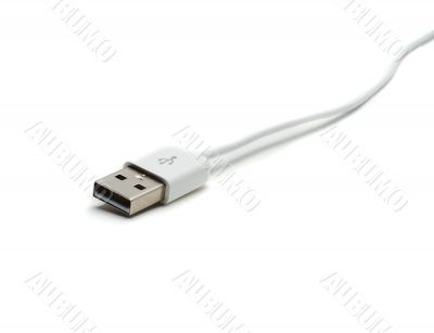 USB cable