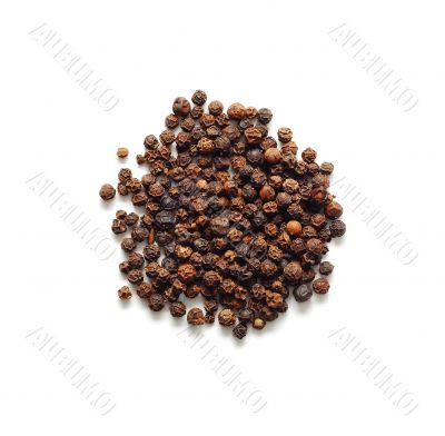 black pepper black pepper