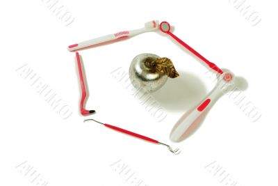 Dental Tools and apple