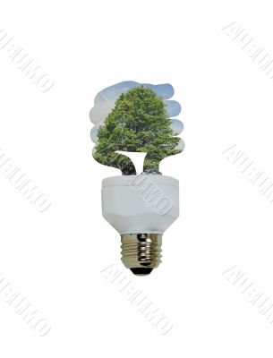 Going Green Lightbulb