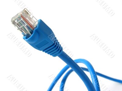 network cable